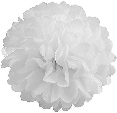 6 pcs White 10-Inch Paper Pom Poms Wedding Decor