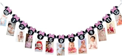 Minnie 12 Month Photo Banner Hot Pink