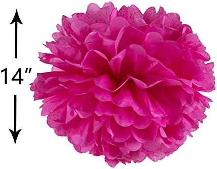 14 Inch Hot Pink Tissue Pom Poms Pack of 10