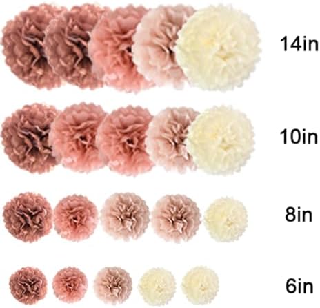 AimtoHome Tissue Paper Pom Poms 20 Pcs Decor Set