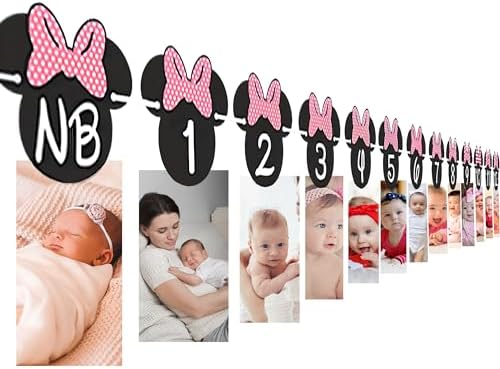 Minnie 12 Month Photo Banner Hot Pink