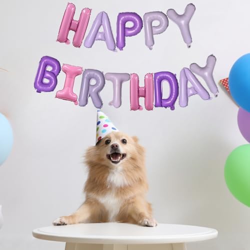 Pink Purple Happy Birthday Balloons Banner 16 Inch Decor