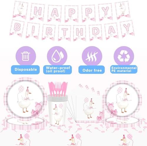 Silly Goose Birthday Supplies Set for Kids