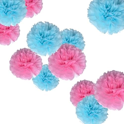 Pink and Blue Tissue Paper Pom Poms Set of 12