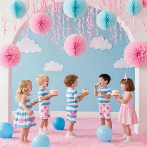 Pink and Blue Tissue Paper Pom Poms Set of 12