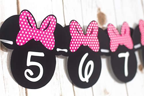 Minnie Mouse 12 Months Photo Banner with Mickey Party Signs