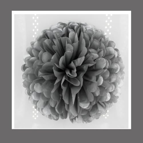 10Pcs 12Inch Tissue Paper Ball Decorations Silver