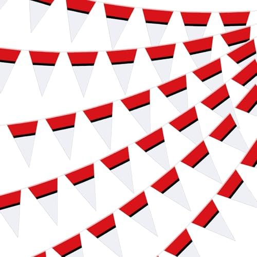 Oudain 6 Piece 59 Ft Cartoon Party Decor Pennant Banners