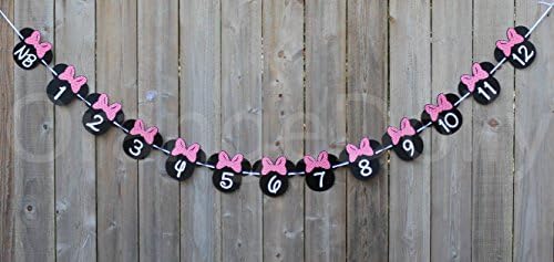 Minnie Mouse 12 Months Photo Banner with Mickey Party Signs