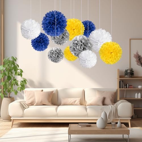 20PCS Tissue Paper Pom Poms for Party Decor