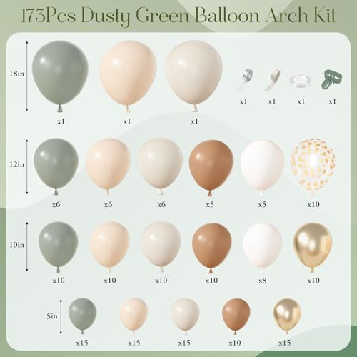 Amandir 173Pcs Dusty Green Balloon Arch Kit