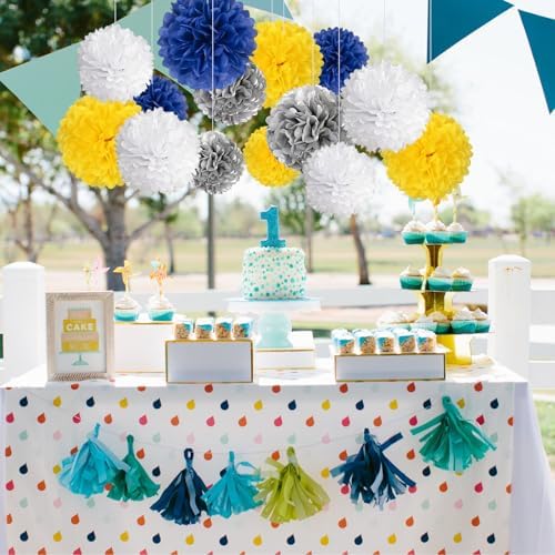 20PCS Tissue Paper Pom Poms for Party Decor