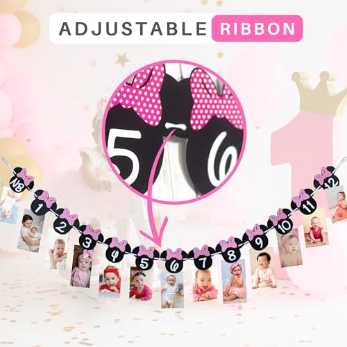Minnie 12 Month Photo Banner Hot Pink