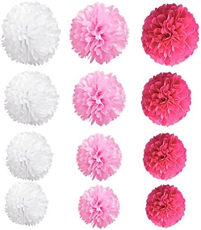 Wartoon Tissue Paper Pom Poms Flowers Set 12 Pieces Hot Pink Pink White