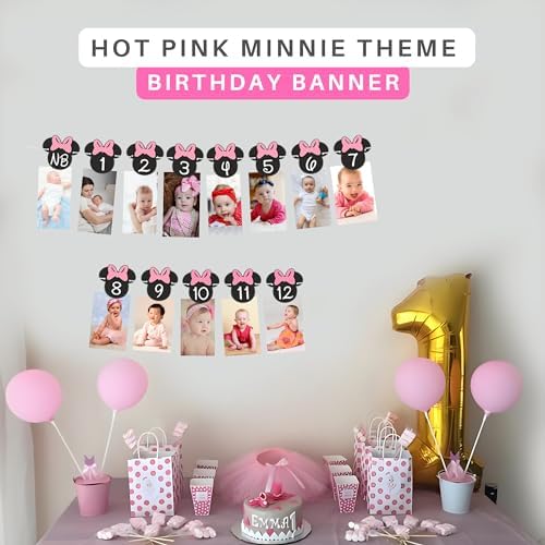 Minnie 12 Month Photo Banner Hot Pink