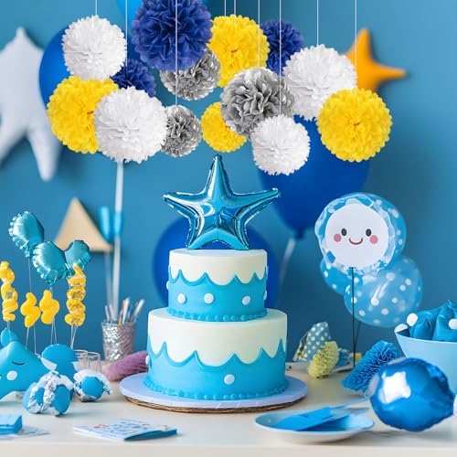 20PCS Tissue Paper Pom Poms for Party Decor