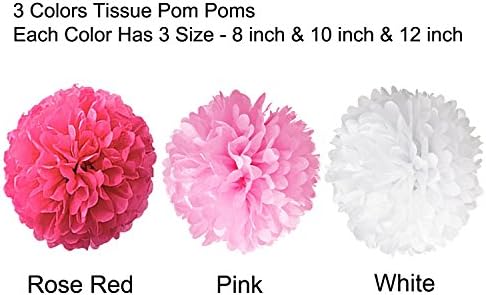 Wartoon Tissue Paper Pom Poms Flowers Set 12 Pieces Hot Pink Pink White