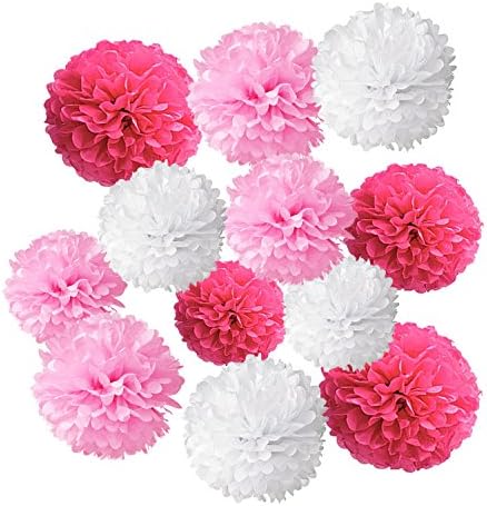 Wartoon Tissue Paper Pom Poms Flowers Set 12 Pieces Hot Pink Pink White