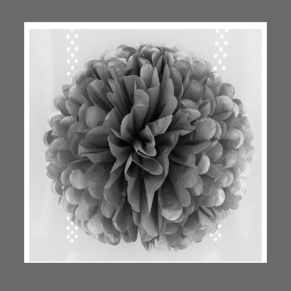 10Pcs 12Inch Tissue Paper Ball Decorations Silver
