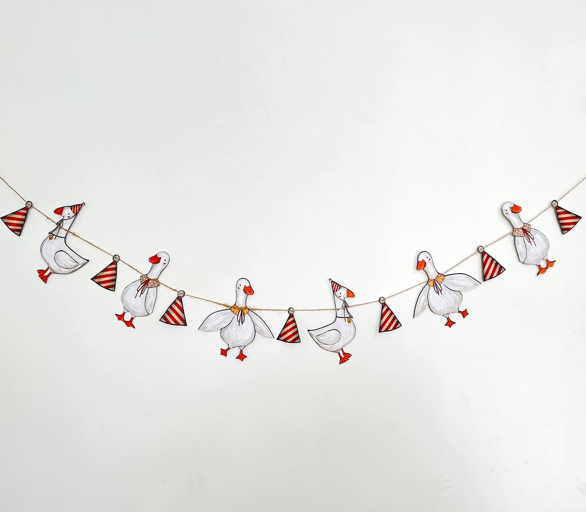 Goose Party Decorations Set of 25