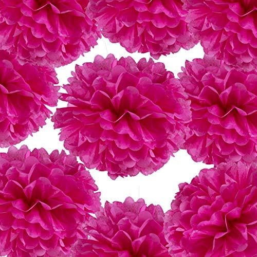 14 Inch Hot Pink Tissue Pom Poms Pack of 10
