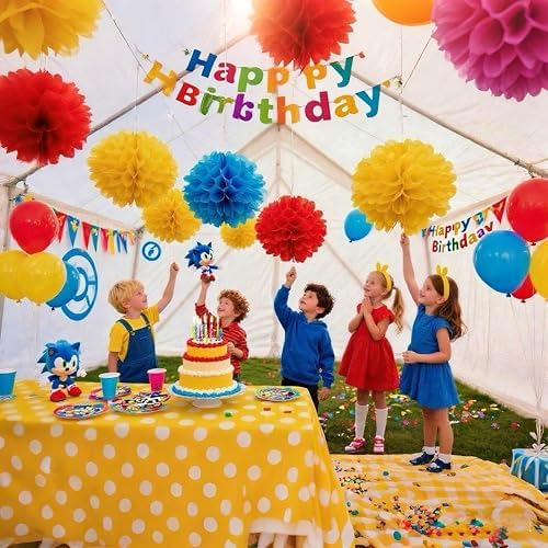 Blue Yellow Red Paper Pom Poms 10inch 12inch Set of 12
