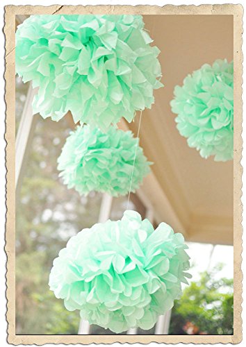 Mint Tissue Paper Pom Poms for Decorations