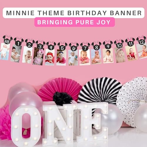 Minnie 12 Month Photo Banner Hot Pink