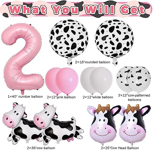 Lousuip Cow Balloons 2nd Birthday Decorations