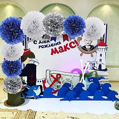 HEARTFEEL 12pcs Tissue Paper Pom Poms Decorations