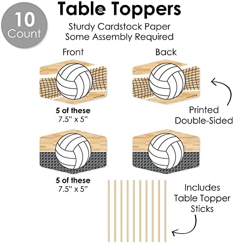 Big Dot of Happiness Volleyball Decor Kit 51 Pieces