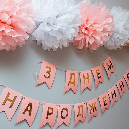 PATIKIL 4 Inch Tissue Pom Poms Flowers 10 Pack Light Pink