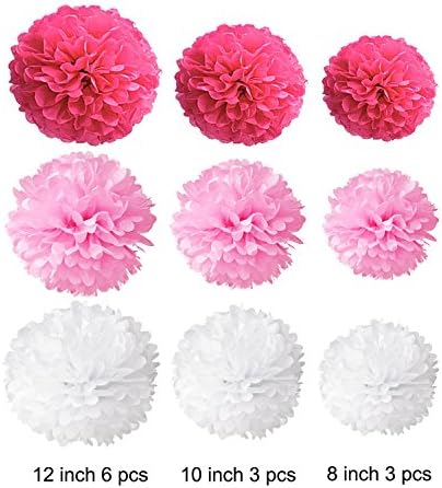 Wartoon Tissue Paper Pom Poms Flowers Set 12 Pieces Hot Pink Pink White