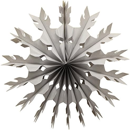 Devra Party 6-Pack 15 Inch Tissue Paper Snowflake