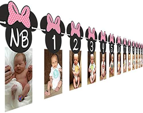 Minnie Mouse 12 Months Photo Banner with Mickey Party Signs