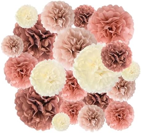 AimtoHome Tissue Paper Pom Poms 20 Pcs Decor Set