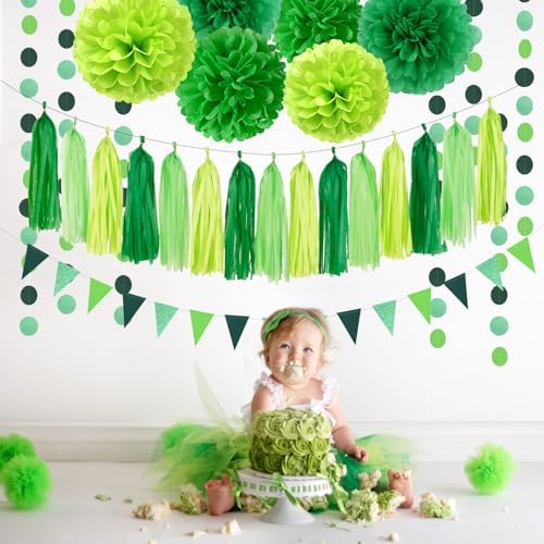 Green Party Decorations Tissue Pom Poms - 23pcs Set