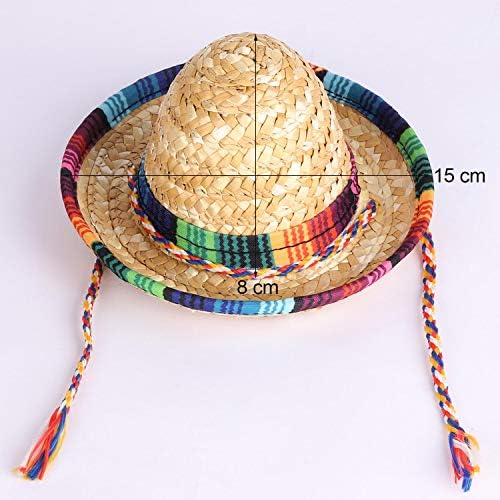 BTYMS 8 Piece Mini Sombrero Party Hats