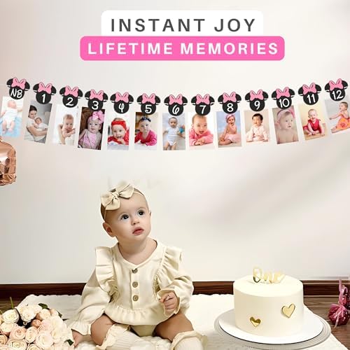 Minnie 12 Month Photo Banner Hot Pink