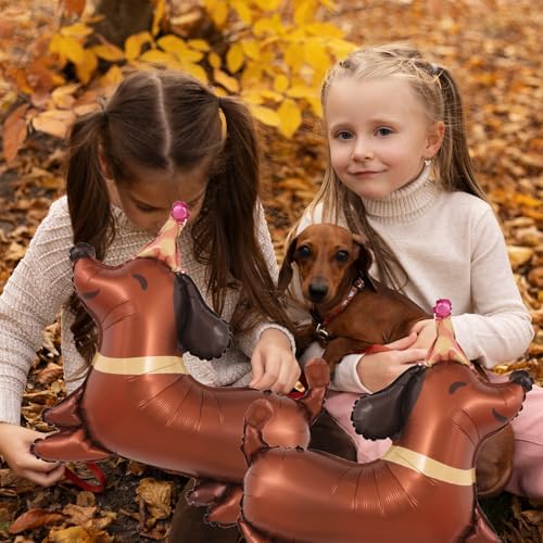 5Pcs Dachshund Dog Birthday Balloons for Pet Party