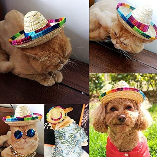 BTYMS 8 Piece Mini Sombrero Party Hats