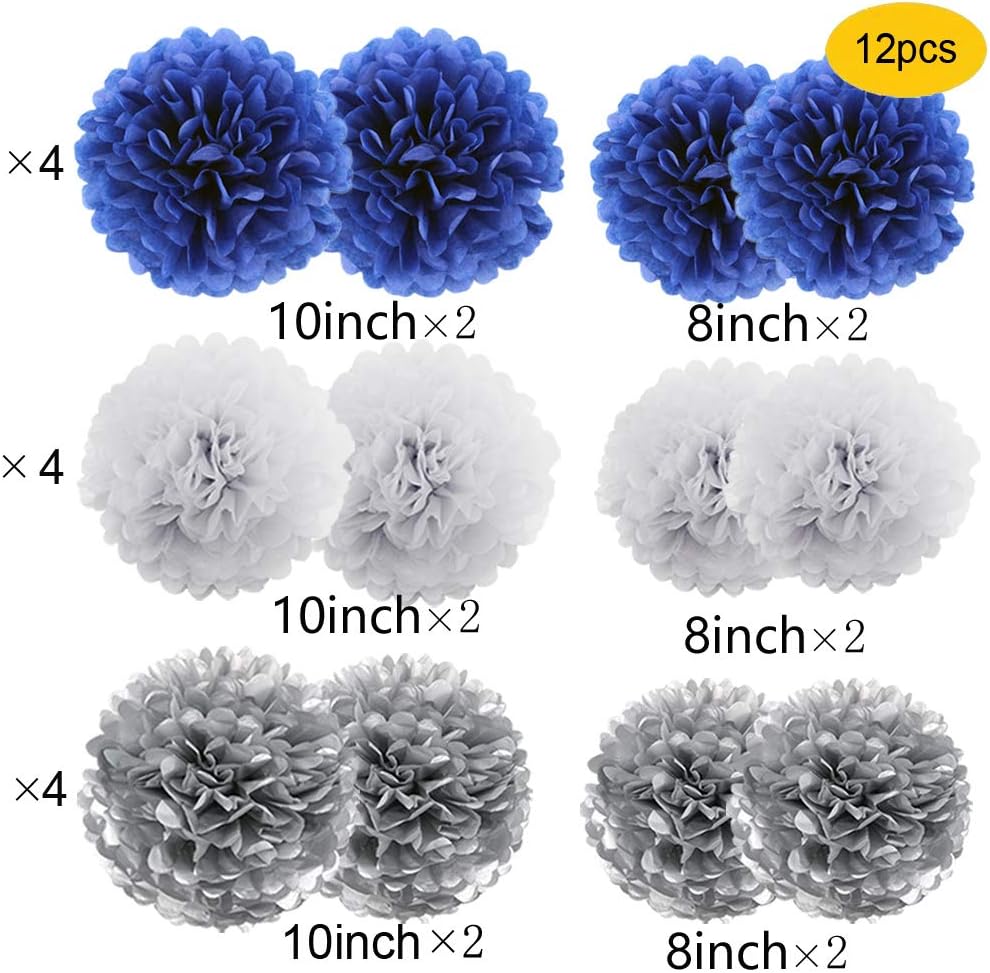 HEARTFEEL 12pcs Tissue Paper Pom Poms Decorations