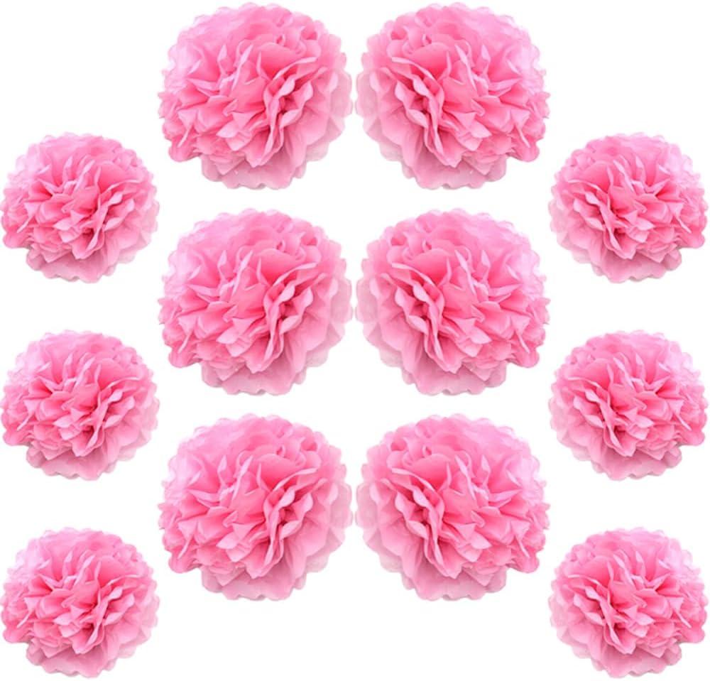 Ruidee 12 Pieces Tissue Paper Pompoms for Party Decorations