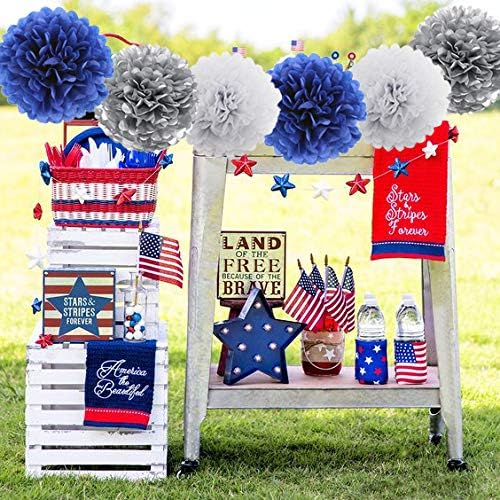 HEARTFEEL 12pcs Tissue Paper Pom Poms Decorations