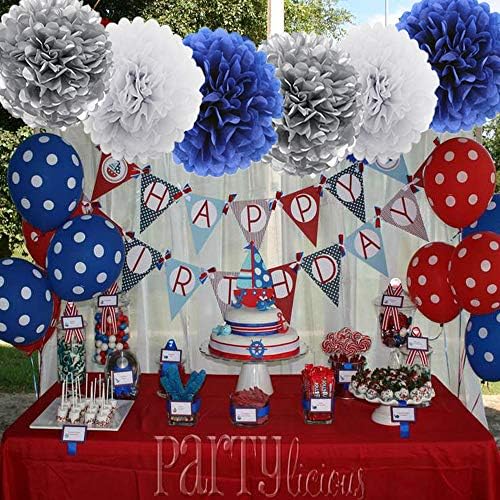 HEARTFEEL 12pcs Tissue Paper Pom Poms Decorations