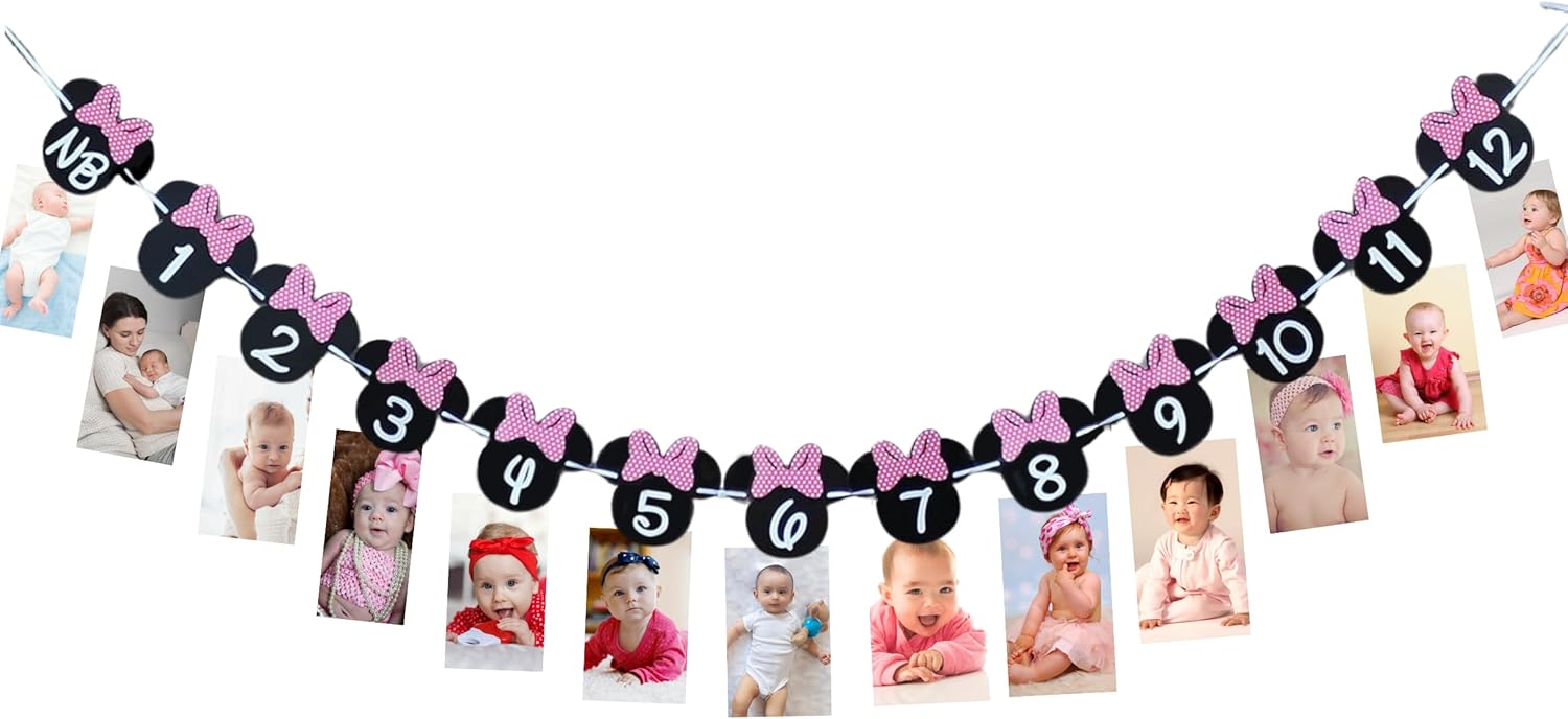 Minnie 12 Month Photo Banner Hot Pink