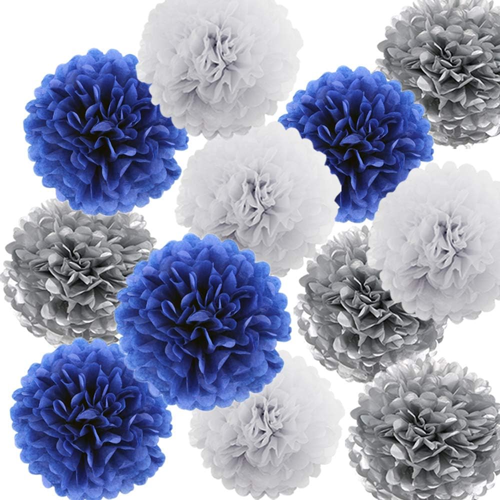 HEARTFEEL 12pcs Tissue Paper Pom Poms Decorations