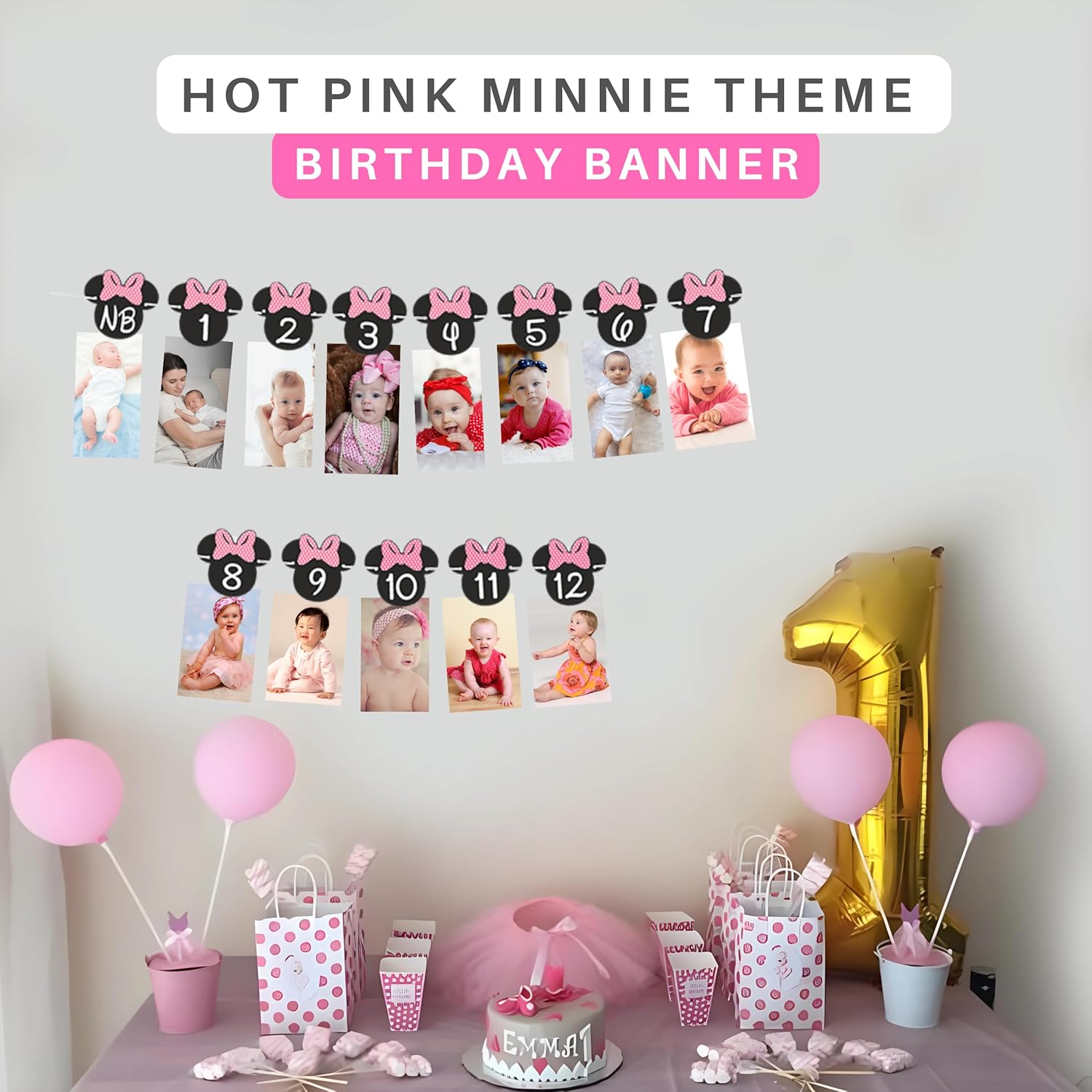 Minnie 12 Month Photo Banner Hot Pink