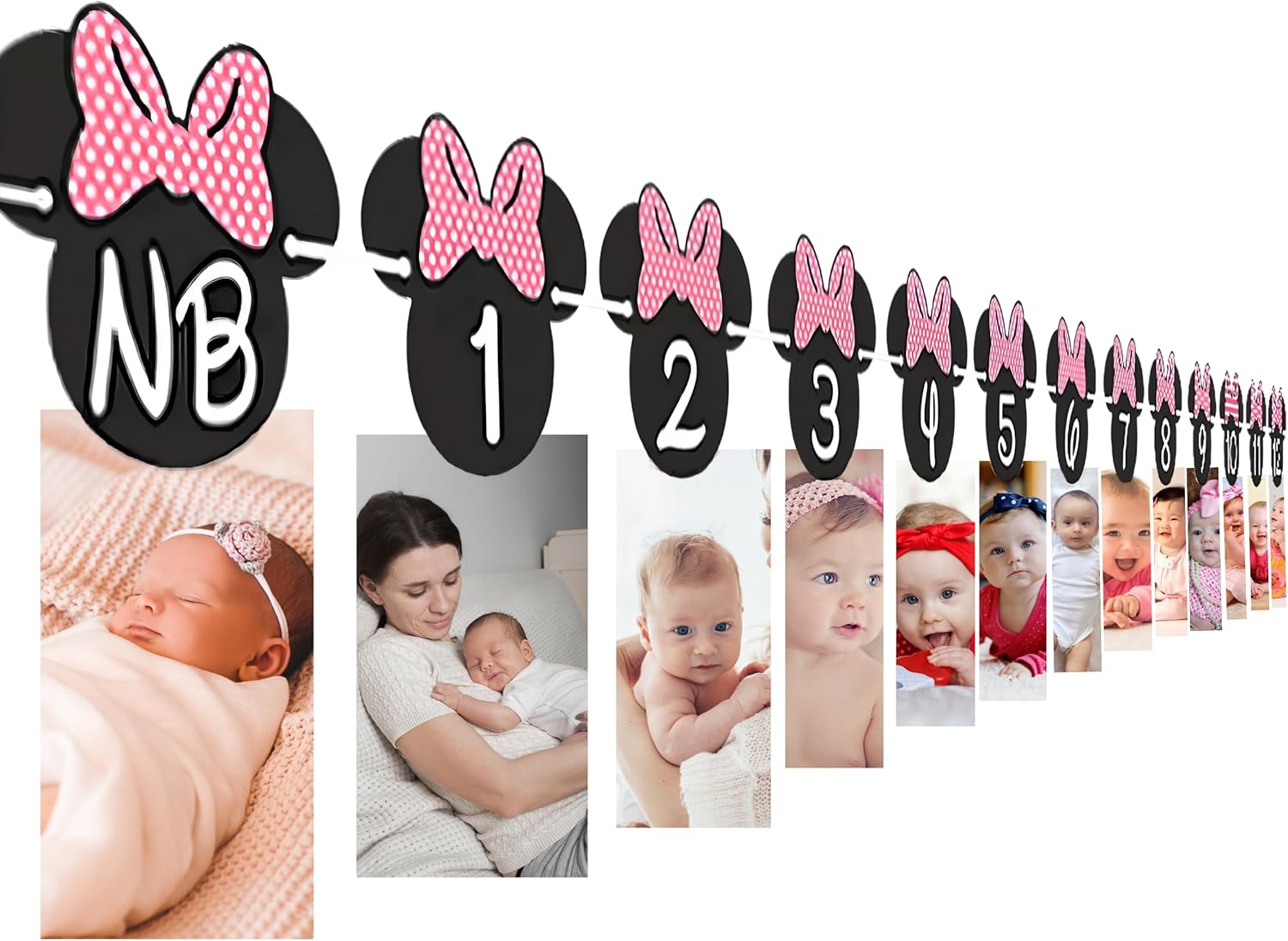 Minnie 12 Month Photo Banner Hot Pink