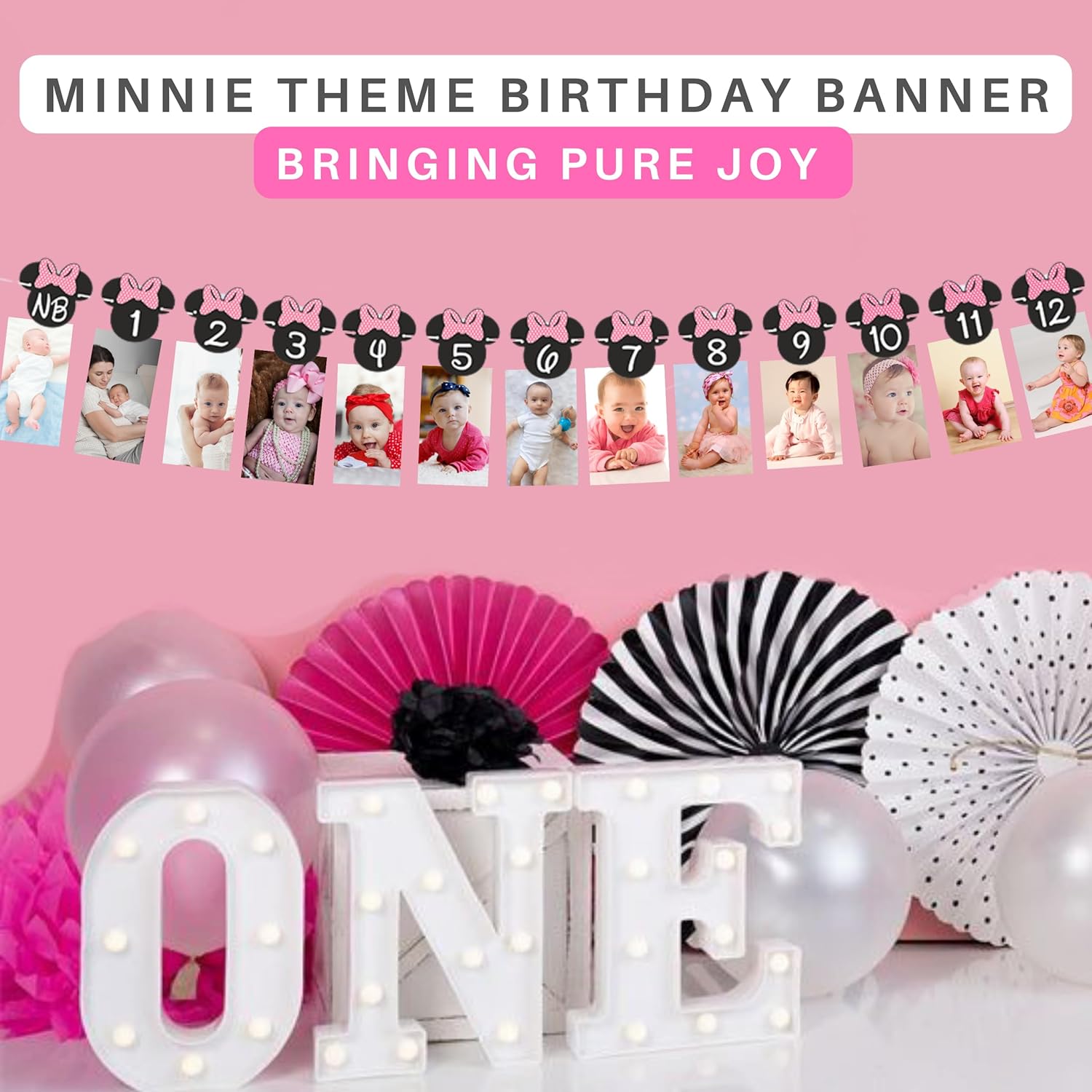 Minnie 12 Month Photo Banner Hot Pink